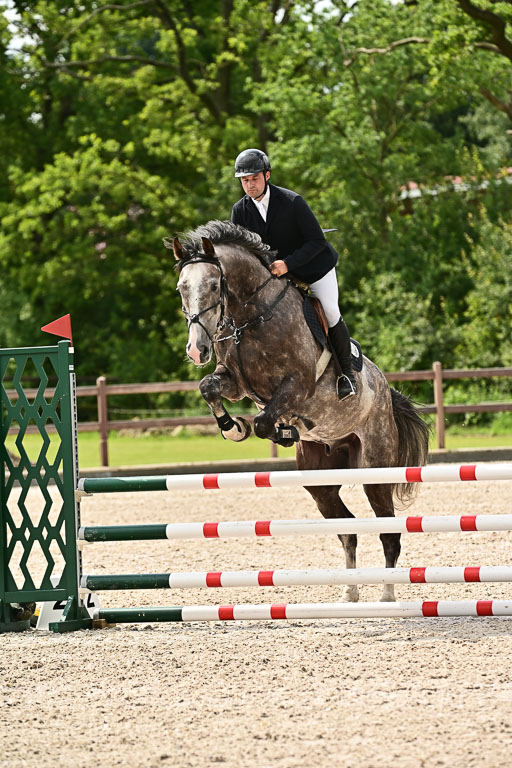 Klein Offenseth  - Hengststation Hell  28.07.2025 | 28072025 Springpferde A_147 