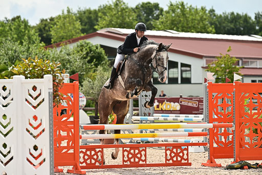 Klein Offenseth  - Hengststation Hell  28.07.2025 | 28072025 Springpferde A_148 