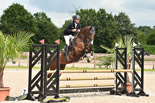 Klein Offenseth  - Hengststation Hell  28.07.2025 | 28072025 Springpferde A_154 