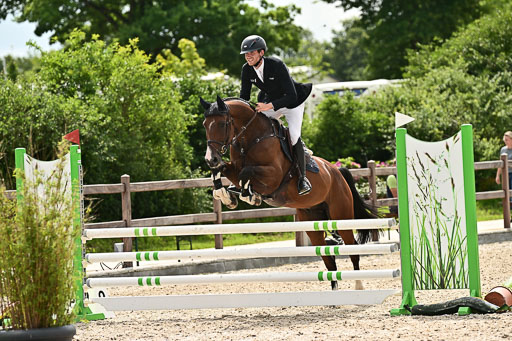 Klein Offenseth  - Hengststation Hell  28.07.2025 | 28072025 Springpferde A_156 