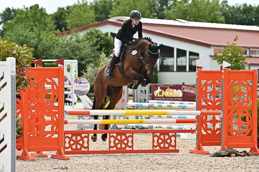 Klein Offenseth  - Hengststation Hell  28.07.2025 | 28072025 Springpferde A_159 