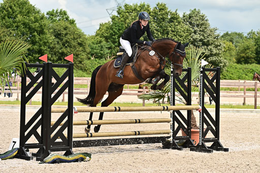 Klein Offenseth  - Hengststation Hell  28.07.2025 | 28072025 Springpferde A_160 