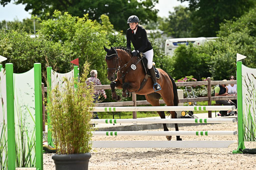 Klein Offenseth  - Hengststation Hell  28.07.2025 | 28072025 Springpferde A_161 