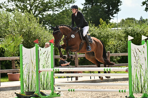 Klein Offenseth  - Hengststation Hell  28.07.2025 | 28072025 Springpferde A_163 