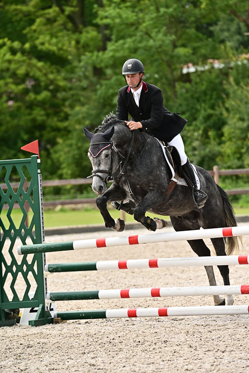 Klein Offenseth  - Hengststation Hell  28.07.2025 | 28072025 Springpferde A_165 