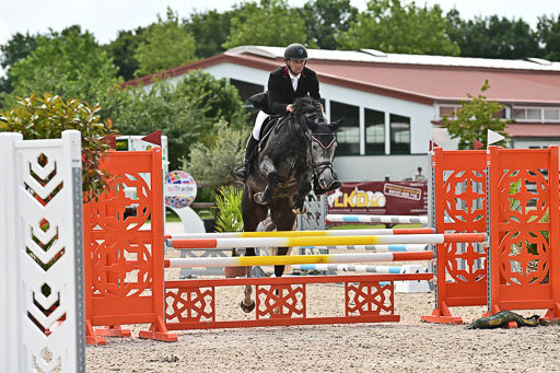 Klein Offenseth  - Hengststation Hell  28.07.2025 | 28072025 Springpferde A_166 