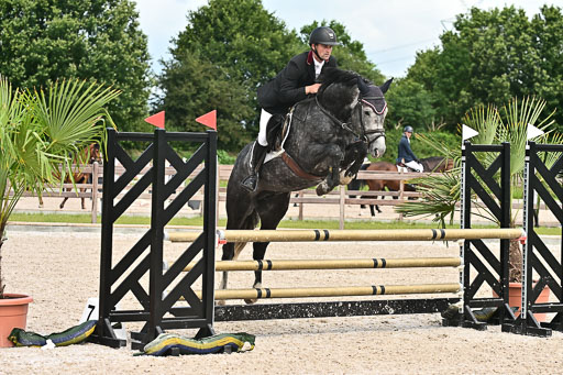 Klein Offenseth  - Hengststation Hell  28.07.2025 | 28072025 Springpferde A_167 