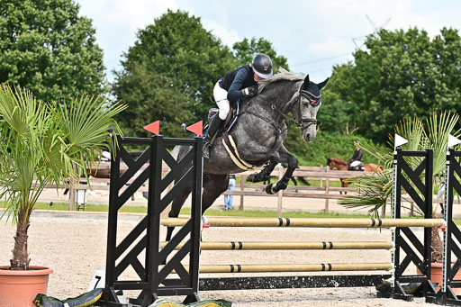 Klein Offenseth  - Hengststation Hell  28.07.2025 | 28072025 Springpferde A_170 