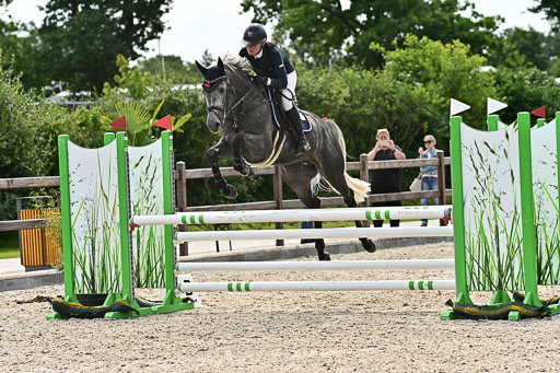 Klein Offenseth  - Hengststation Hell  28.07.2025 | 28072025 Springpferde A_172 