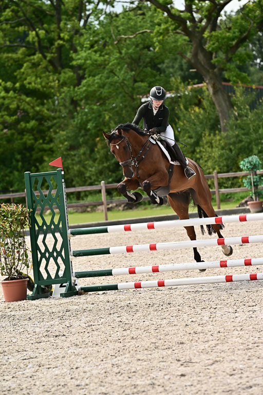 Klein Offenseth  - Hengststation Hell  28.07.2025 | 28072025 Springpferde A_173 