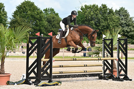 Klein Offenseth  - Hengststation Hell  28.07.2025 | 28072025 Springpferde A_174 