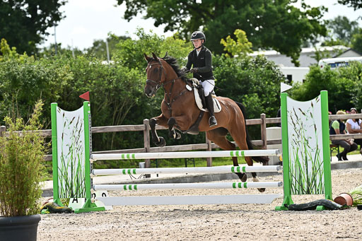 Klein Offenseth  - Hengststation Hell  28.07.2025 | 28072025 Springpferde A_176 