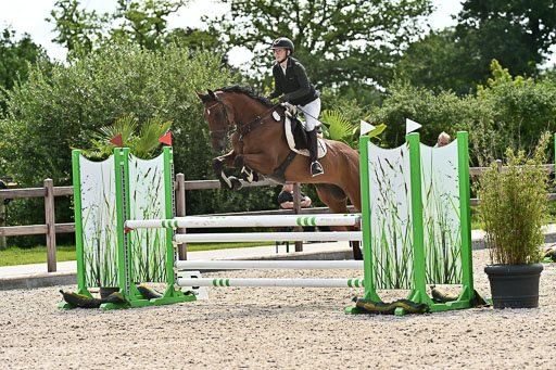 Klein Offenseth  - Hengststation Hell  28.07.2025 | 28072025 Springpferde A_177 