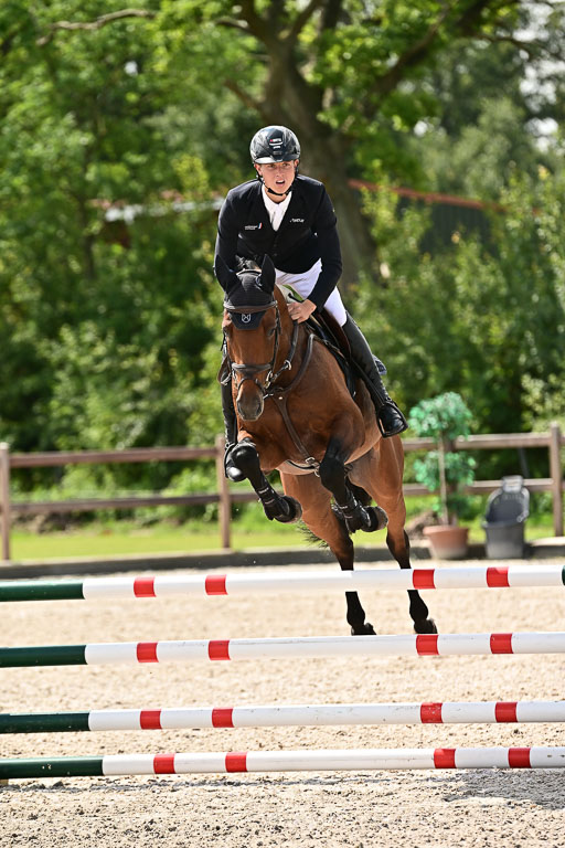 Klein Offenseth  - Hengststation Hell  28.07.2025 | 28072025 Springpferde A_179 