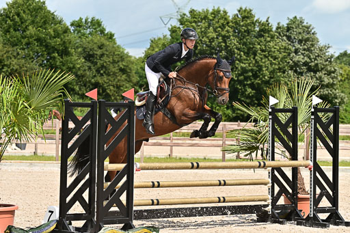 Klein Offenseth  - Hengststation Hell  28.07.2025 | 28072025 Springpferde A_180 