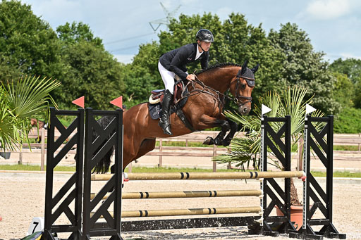 Klein Offenseth  - Hengststation Hell  28.07.2025 | 28072025 Springpferde A_181 