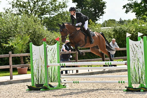 Klein Offenseth  - Hengststation Hell  28.07.2025 | 28072025 Springpferde A_183 