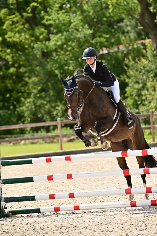 Klein Offenseth  - Hengststation Hell  28.07.2025 | 28072025 Springpferde A_184 