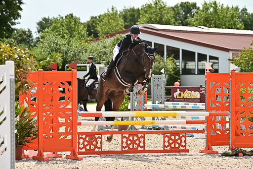 Klein Offenseth  - Hengststation Hell  28.07.2025 | 28072025 Springpferde A_185 