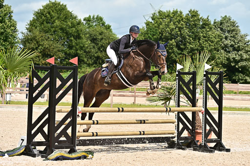 Klein Offenseth  - Hengststation Hell  28.07.2025 | 28072025 Springpferde A_186 