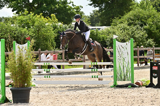 Klein Offenseth  - Hengststation Hell  28.07.2025 | 28072025 Springpferde A_188 