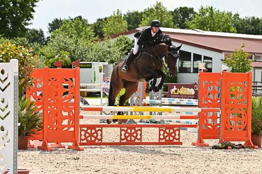 Klein Offenseth  - Hengststation Hell  28.07.2025 | 28072025 Springpferde A_191 