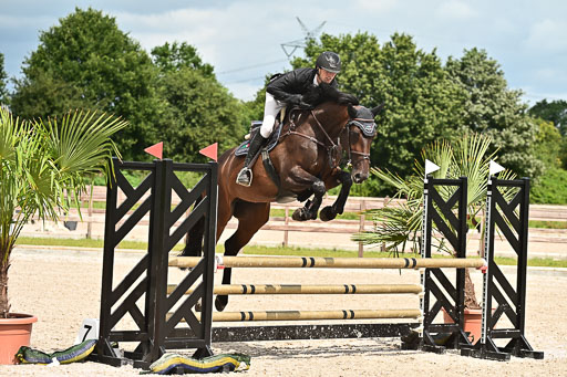 Klein Offenseth  - Hengststation Hell  28.07.2025 | 28072025 Springpferde A_193 