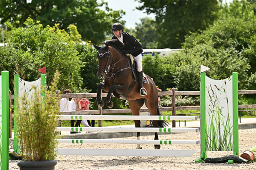 Klein Offenseth  - Hengststation Hell  28.07.2025 | 28072025 Springpferde A_194 