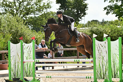 Klein Offenseth  - Hengststation Hell  28.07.2025 | 28072025 Springpferde A_195 