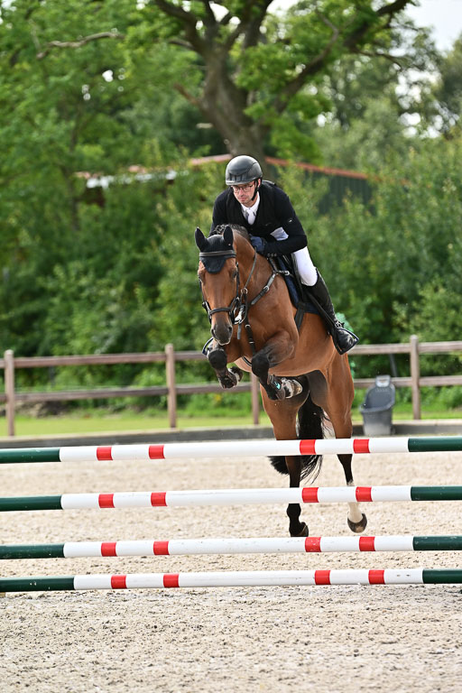 Klein Offenseth  - Hengststation Hell  28.07.2025 | 28072025 Springpferde A_196 