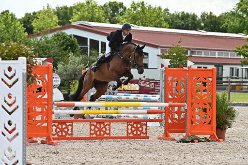 Klein Offenseth  - Hengststation Hell  28.07.2025 | 28072025 Springpferde A_197 