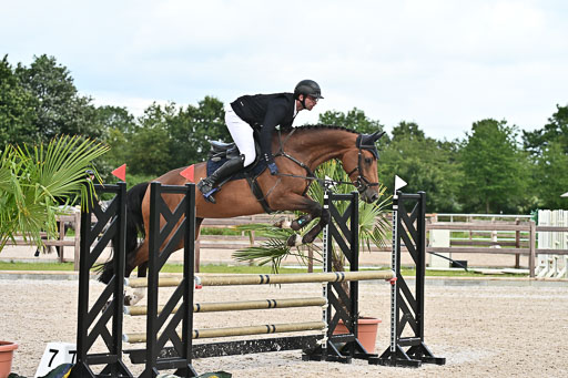 Klein Offenseth  - Hengststation Hell  28.07.2025 | 28072025 Springpferde A_198 