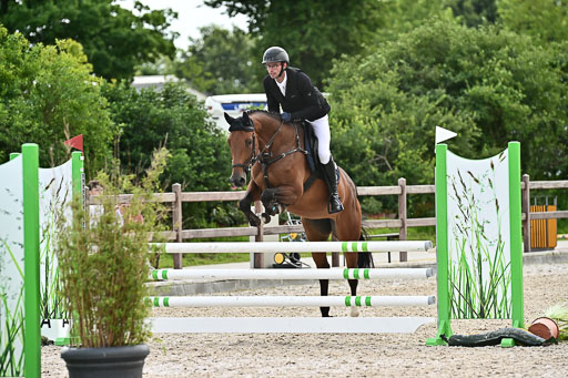 Klein Offenseth  - Hengststation Hell  28.07.2025 | 28072025 Springpferde A_199 