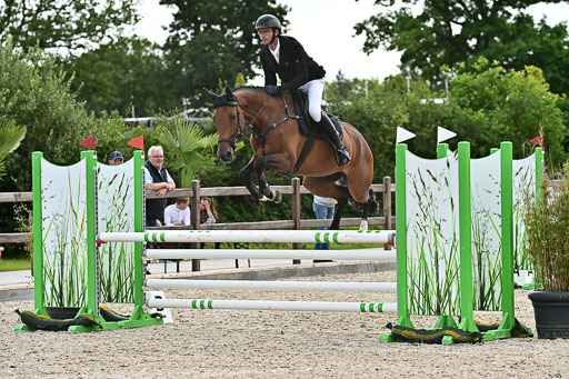 Klein Offenseth  - Hengststation Hell  28.07.2025 | 28072025 Springpferde A_200 