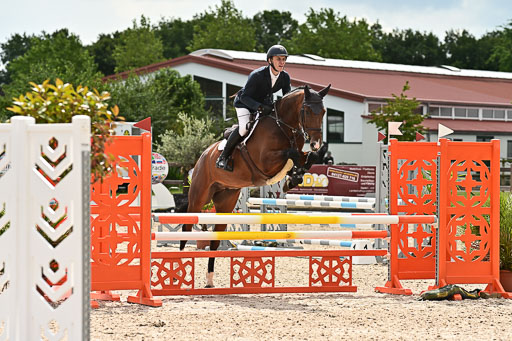 Klein Offenseth  - Hengststation Hell  28.07.2025 | 28072025 Springpferde A_204 