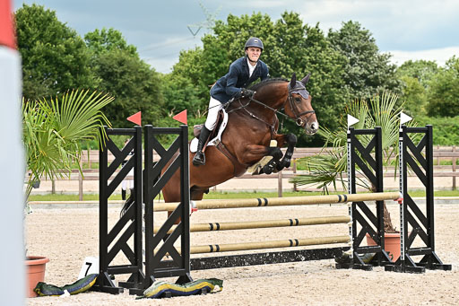 Klein Offenseth  - Hengststation Hell  28.07.2025 | 28072025 Springpferde A_205 