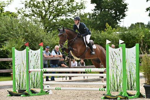 Klein Offenseth  - Hengststation Hell  28.07.2025 | 28072025 Springpferde A_207 