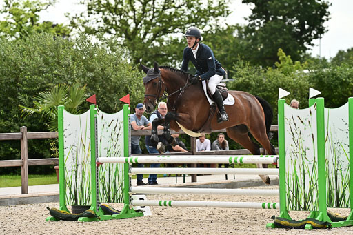 Klein Offenseth  - Hengststation Hell  28.07.2025 | 28072025 Springpferde A_208 