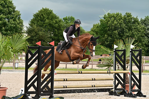 Klein Offenseth  - Hengststation Hell  28.07.2025 | 28072025 Springpferde A_210 