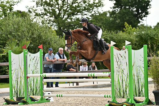 Klein Offenseth  - Hengststation Hell  28.07.2025 | 28072025 Springpferde A_212 