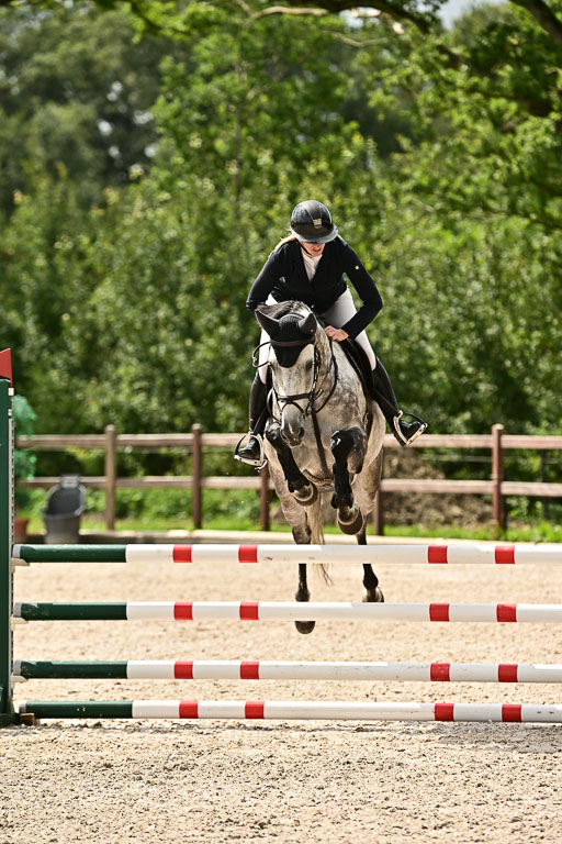 Klein Offenseth  - Hengststation Hell  28.07.2025 | 28072025 Springpferde A_213 