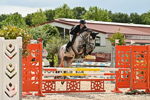 Klein Offenseth  - Hengststation Hell  28.07.2025 | 28072025 Springpferde A_214 