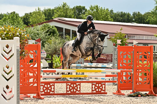 Klein Offenseth  - Hengststation Hell  28.07.2025 | 28072025 Springpferde A_215 