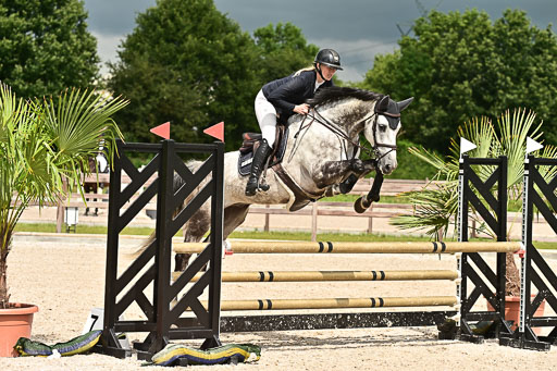 Klein Offenseth  - Hengststation Hell  28.07.2025 | 28072025 Springpferde A_216 