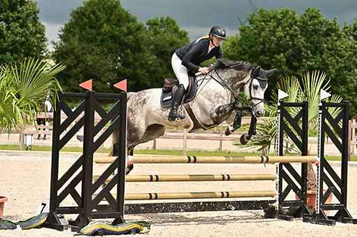 Klein Offenseth  - Hengststation Hell  28.07.2025 | 28072025 Springpferde A_217 