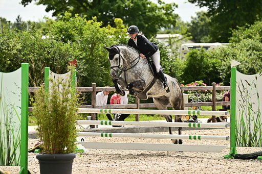 Klein Offenseth  - Hengststation Hell  28.07.2025 | 28072025 Springpferde A_218 