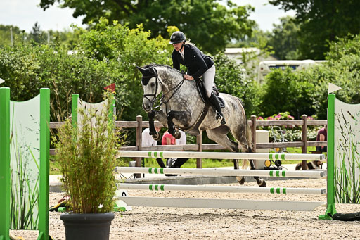 Klein Offenseth  - Hengststation Hell  28.07.2025 | 28072025 Springpferde A_219 