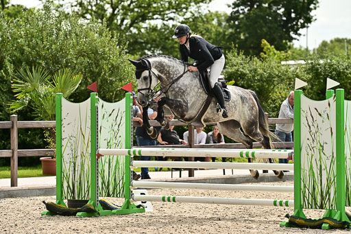 Klein Offenseth  - Hengststation Hell  28.07.2025 | 28072025 Springpferde A_220 