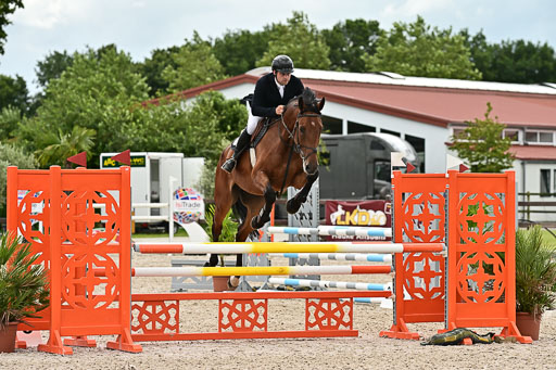 Klein Offenseth  - Hengststation Hell am 28.7.25 | 28072025 Springpferde L _001 