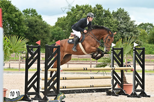 Klein Offenseth  - Hengststation Hell am 28.7.25 | 28072025 Springpferde L _003 